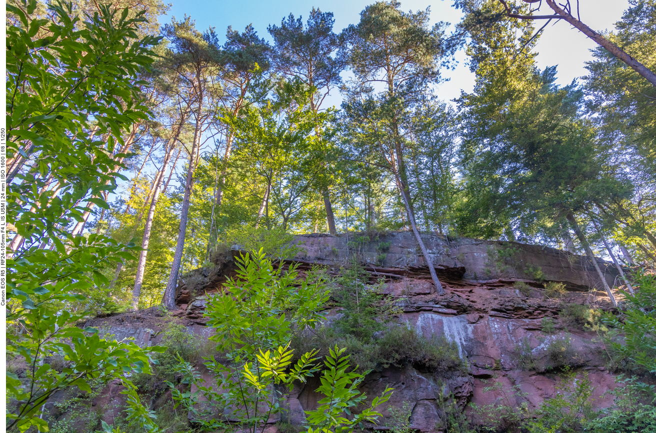 Sandsteinfelsen
