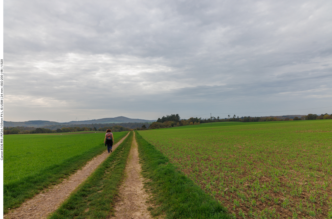 ... auf den Feldweg