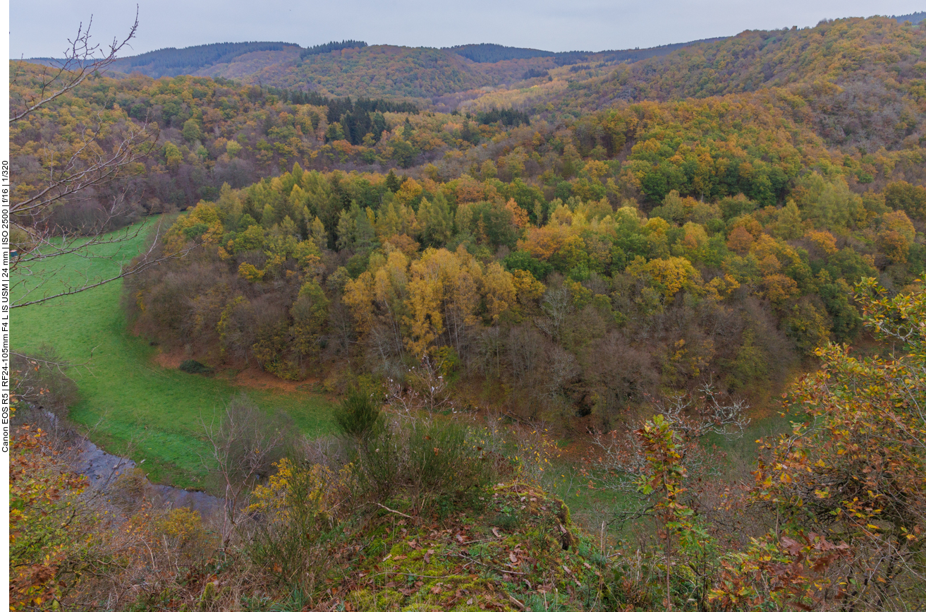 Das Hahnenbachtal