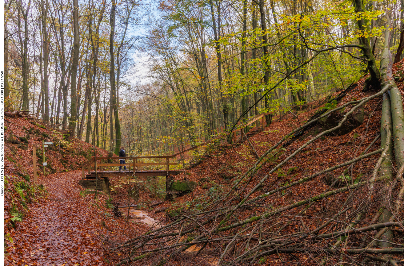 In der Elendsklamm