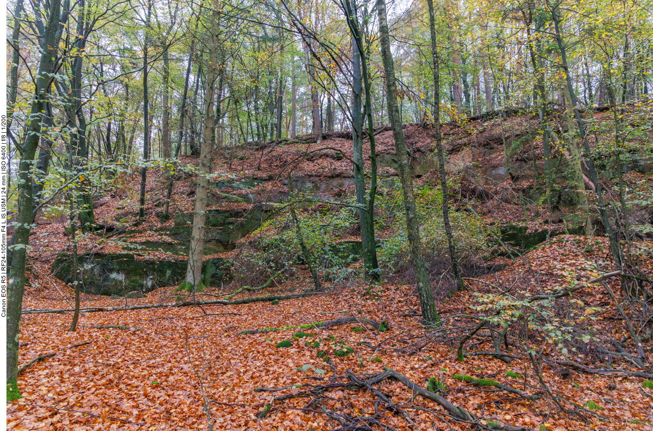 Alter Steinbruch