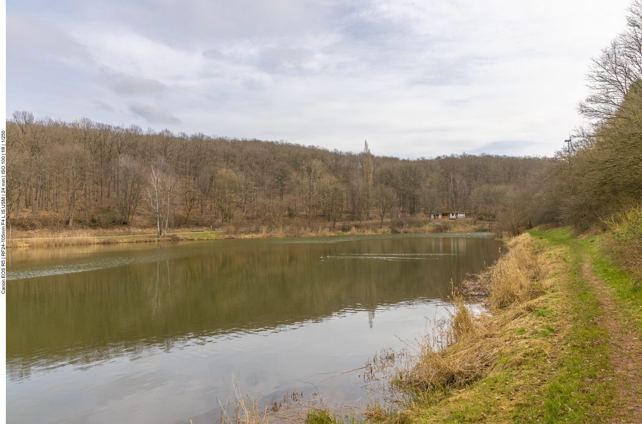 Weg am Weiherufer