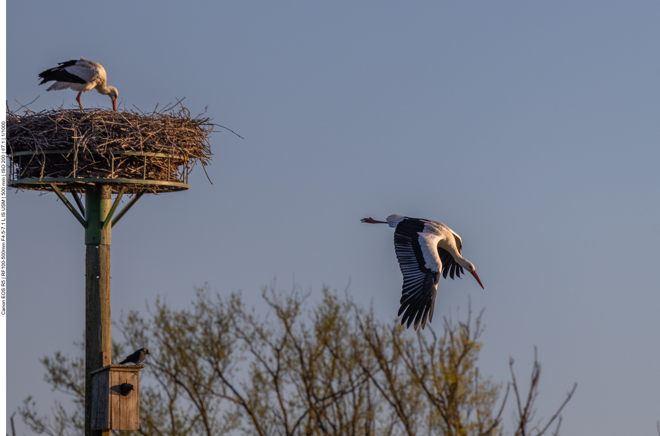 ... zur morgendlichen Runde