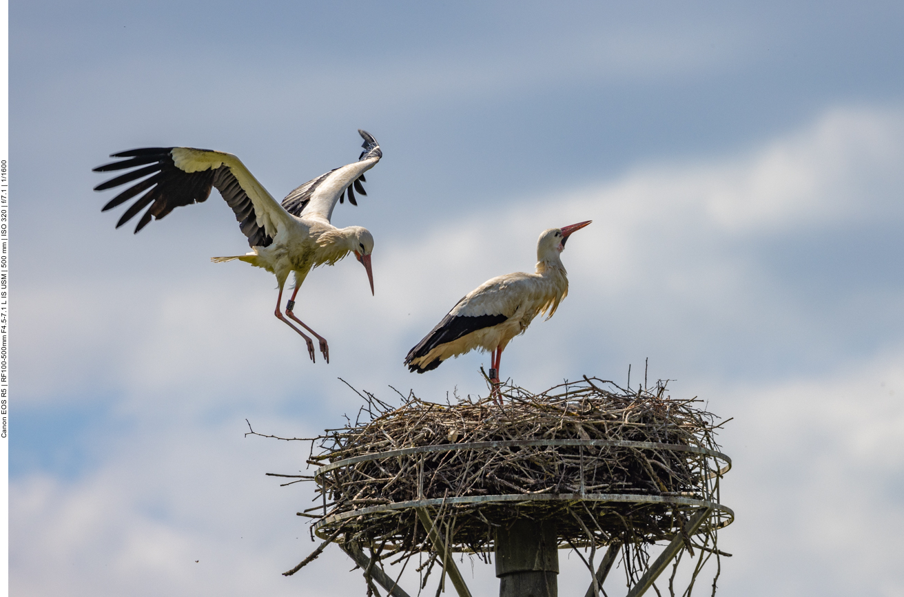 Landeanflug