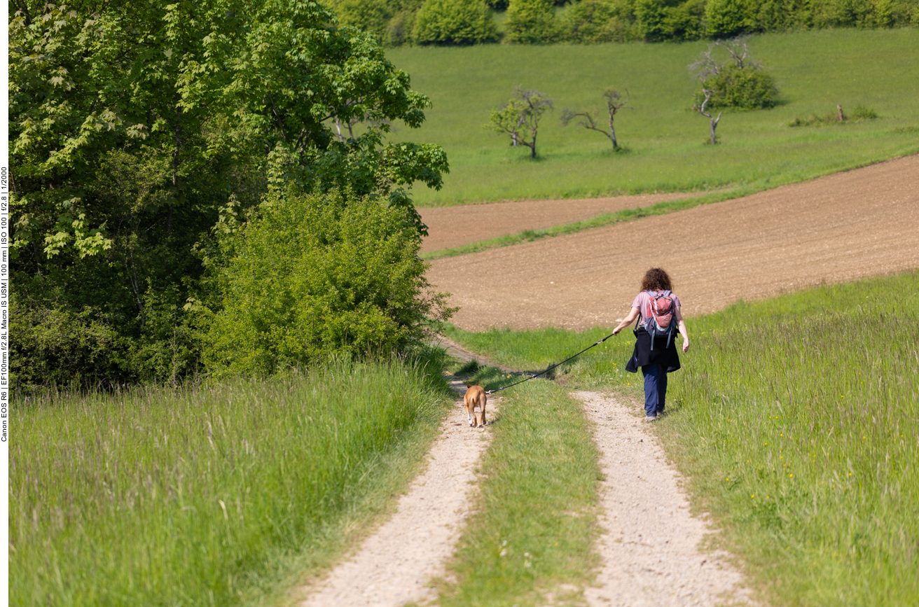 Sonniger Wanderweg
