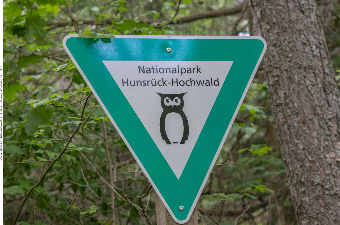 Hier wird die Natur sich selbst überlassen