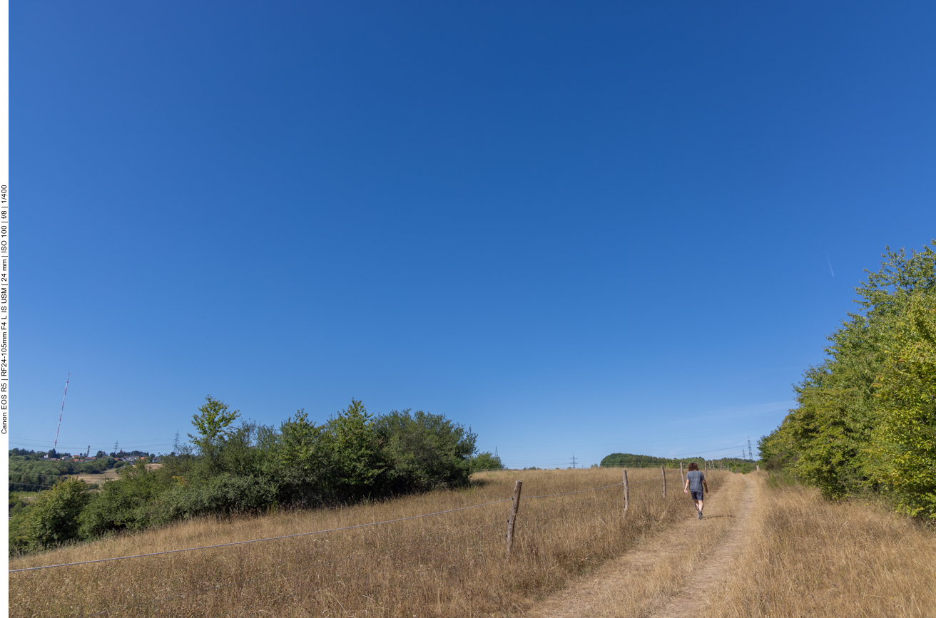 Auf einem Wiesenweg