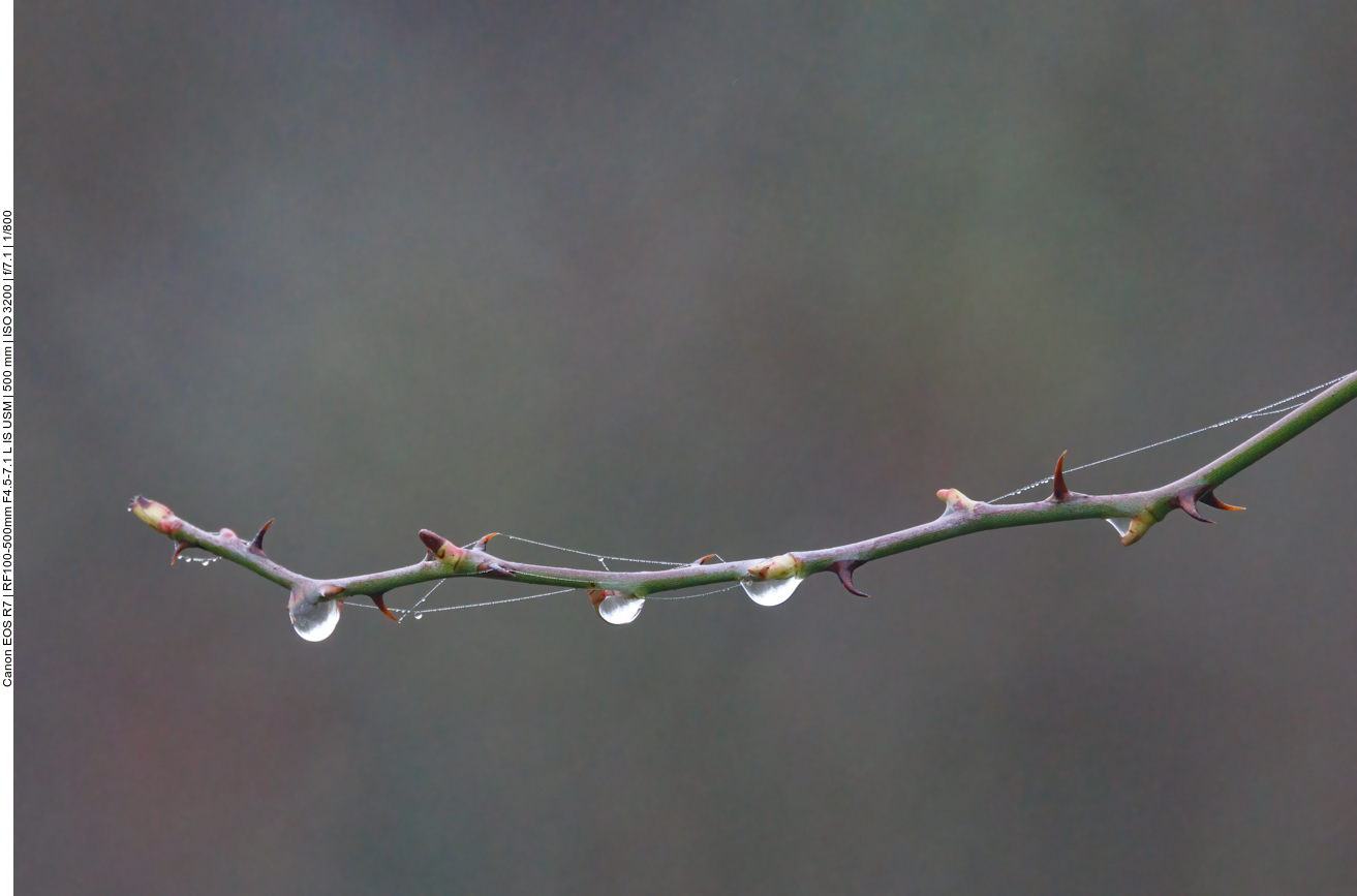 Wassertropfen
