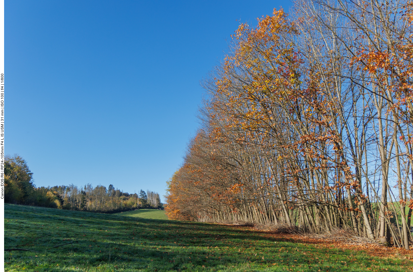 Goldener Herbst