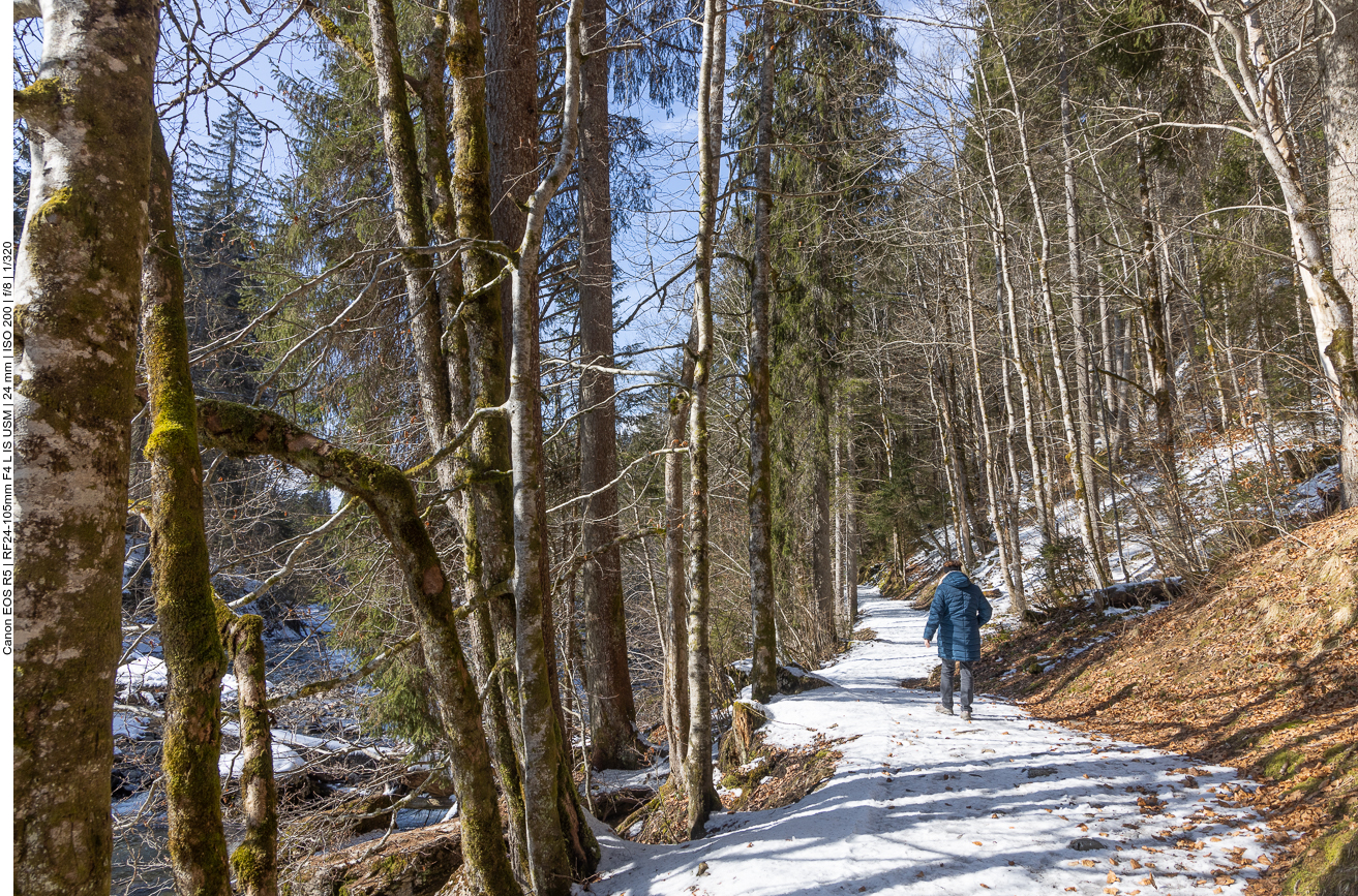 Sonniger, verschneiter Weg 