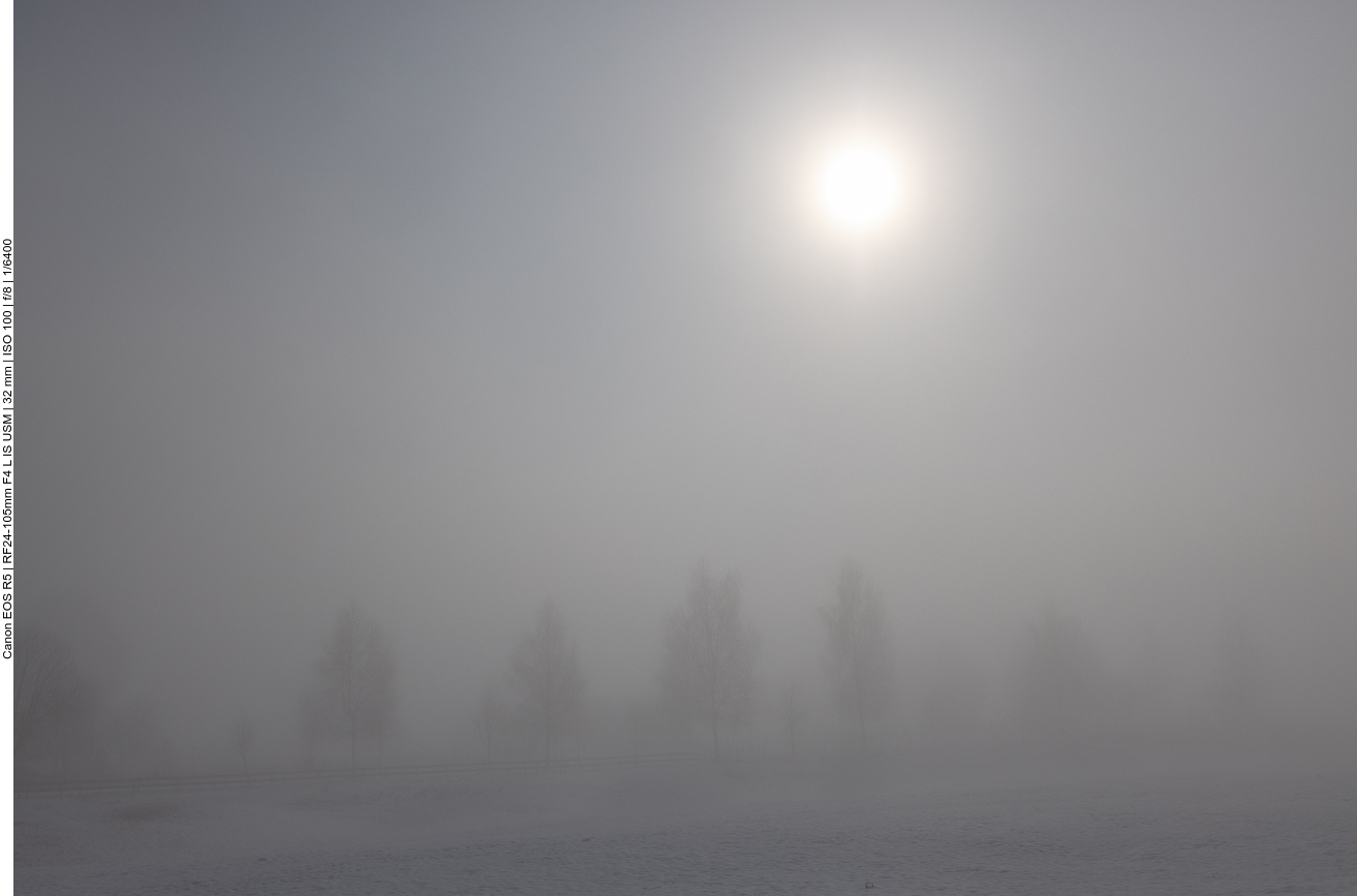 Die Sonne sucht sich ihren Weg ...