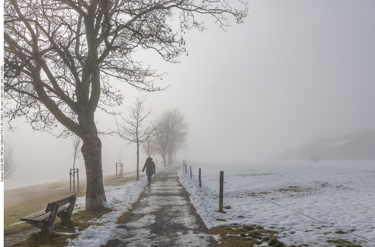 ... säumen unseren Weg
