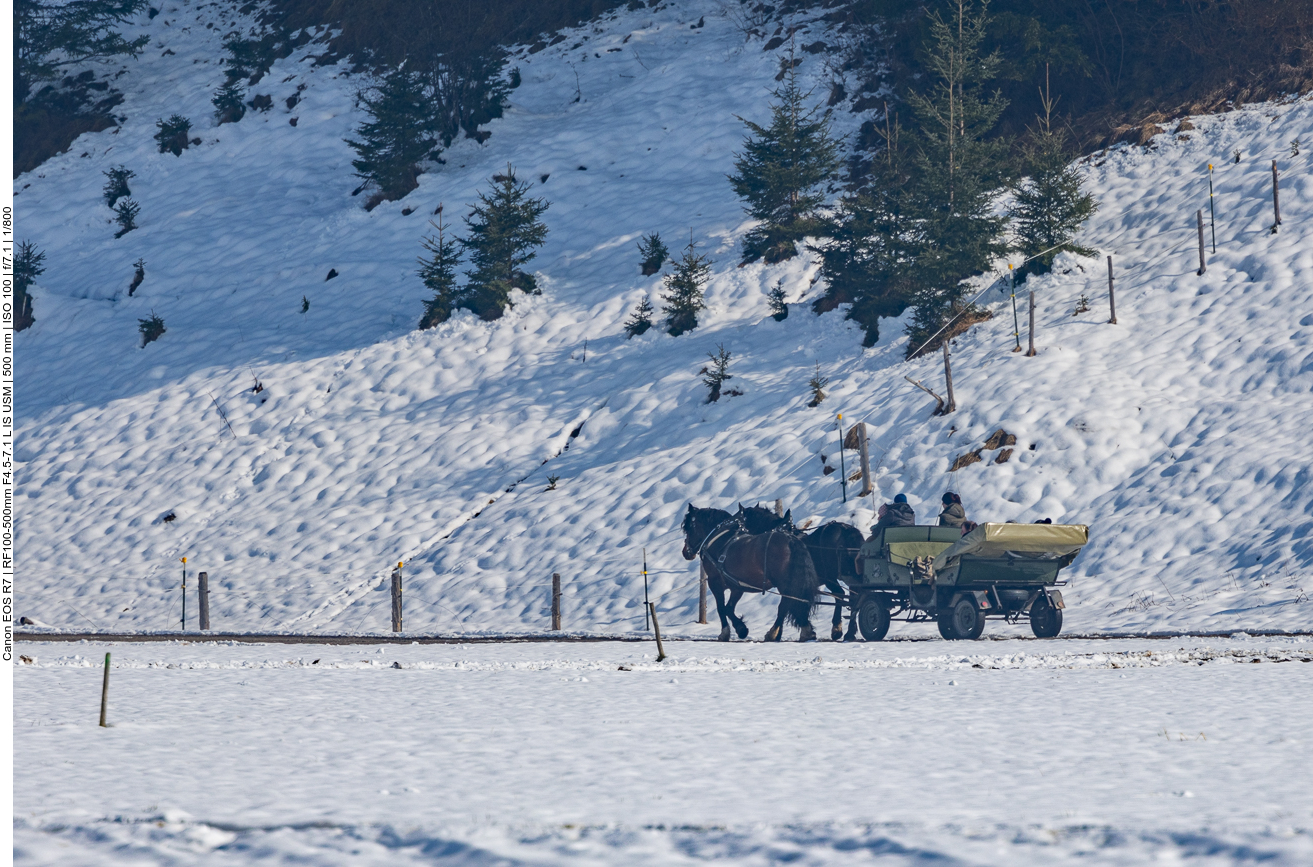 Romantische Kutschfahrt