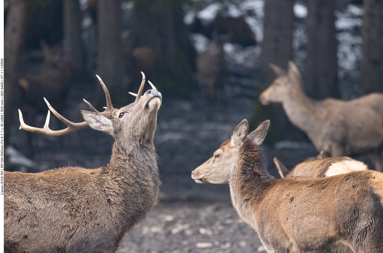 Was riecht denn hier so gut?