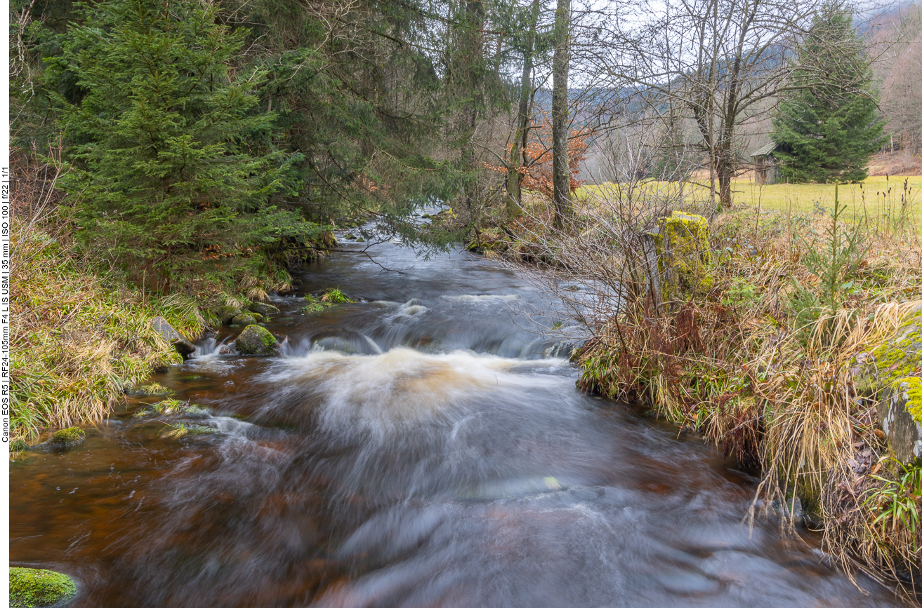 Wilde Eyach 