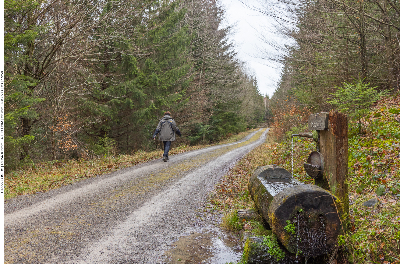 Der Rückweg ist leider weniger spektakulär 