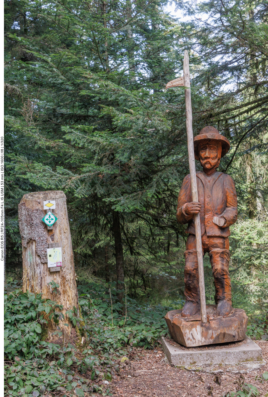 Schitzerei im Wald 