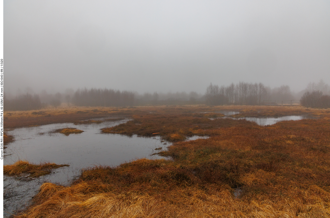 Nebel über dem Hochmoor