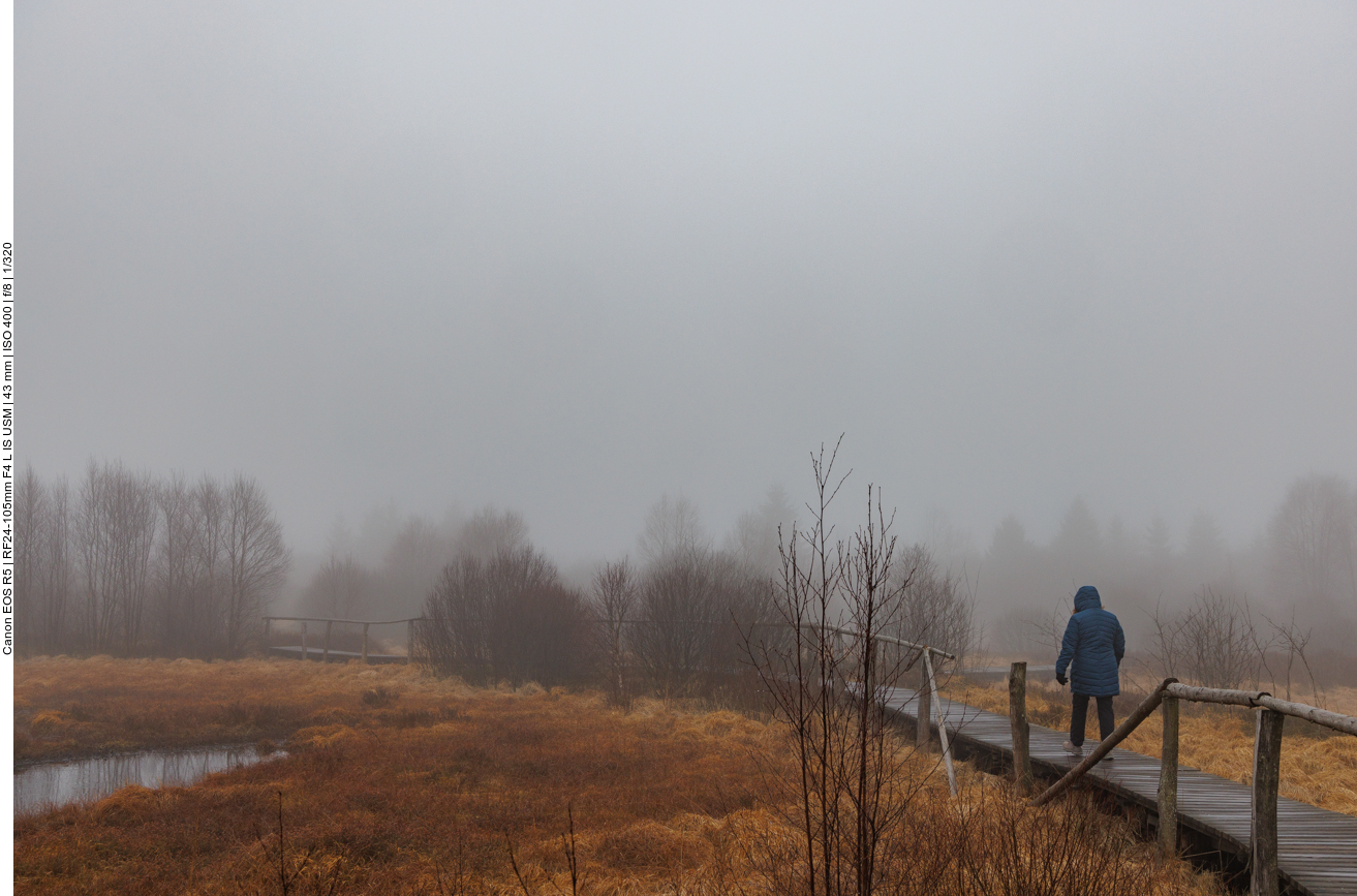 Über die "besonders feuchten" Stellen führen Holzstege