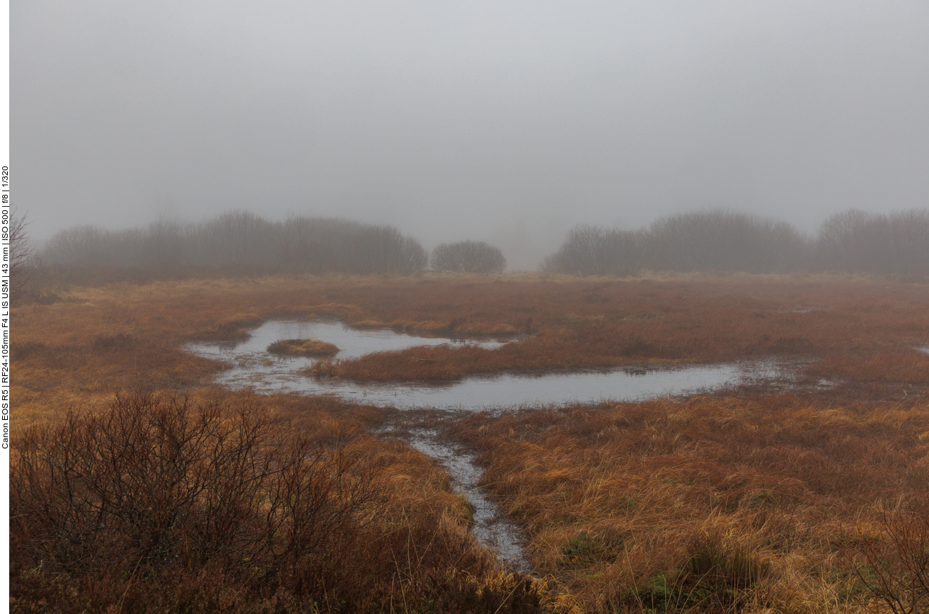 Manchmal ist es etwas unheimlich, es fehlt nur noch die Hand einer Moorleiche, die aus dem Wasser schaut ;-)