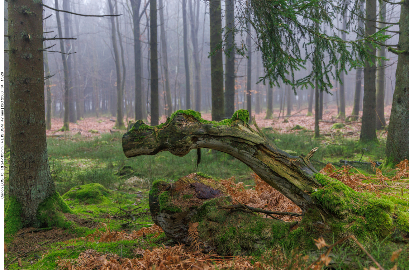 H&ouml;lzerne Schlange ;-) 