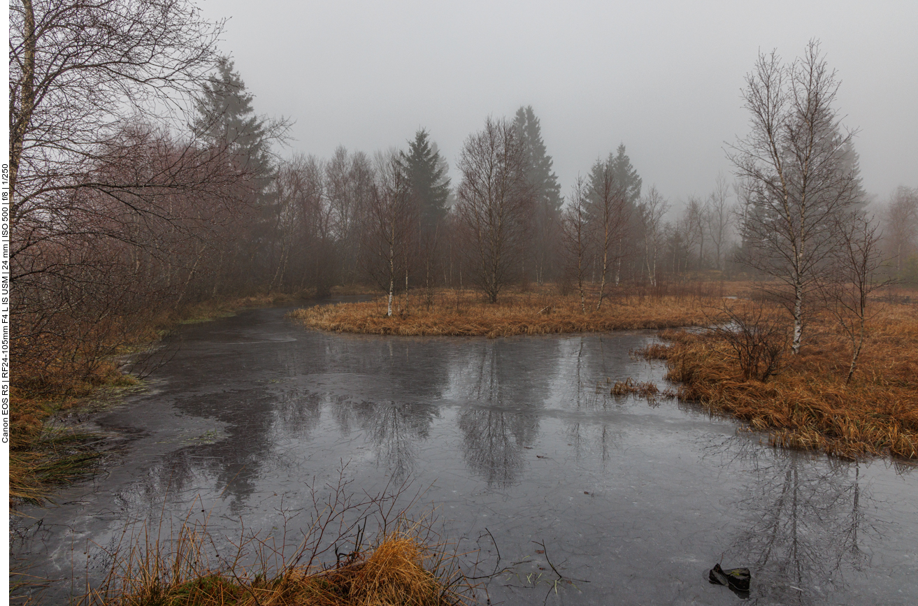 Teilweise zugefrorerener Teich