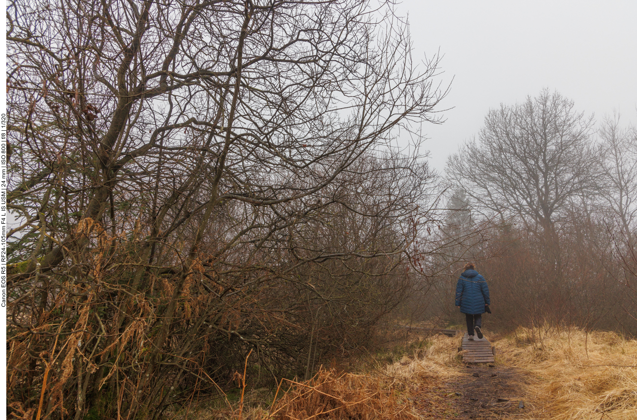 Immer wieder führt der Weg über Holzstege ...