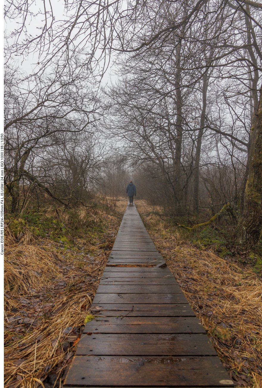 Manche der Planken sind morsch und gebrochen und so gibt es derzeit zwei Umleitungen, um diese Stellen zu meiden