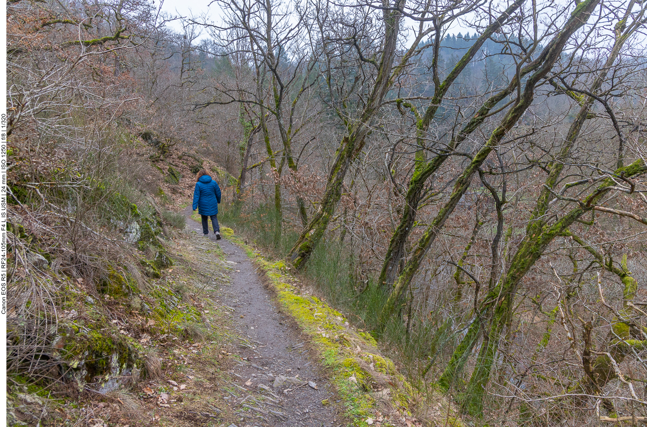 Nein, nicht das gleiche Bild wie im Album 1, die Stelle sind nur ähnlich aus ;-)