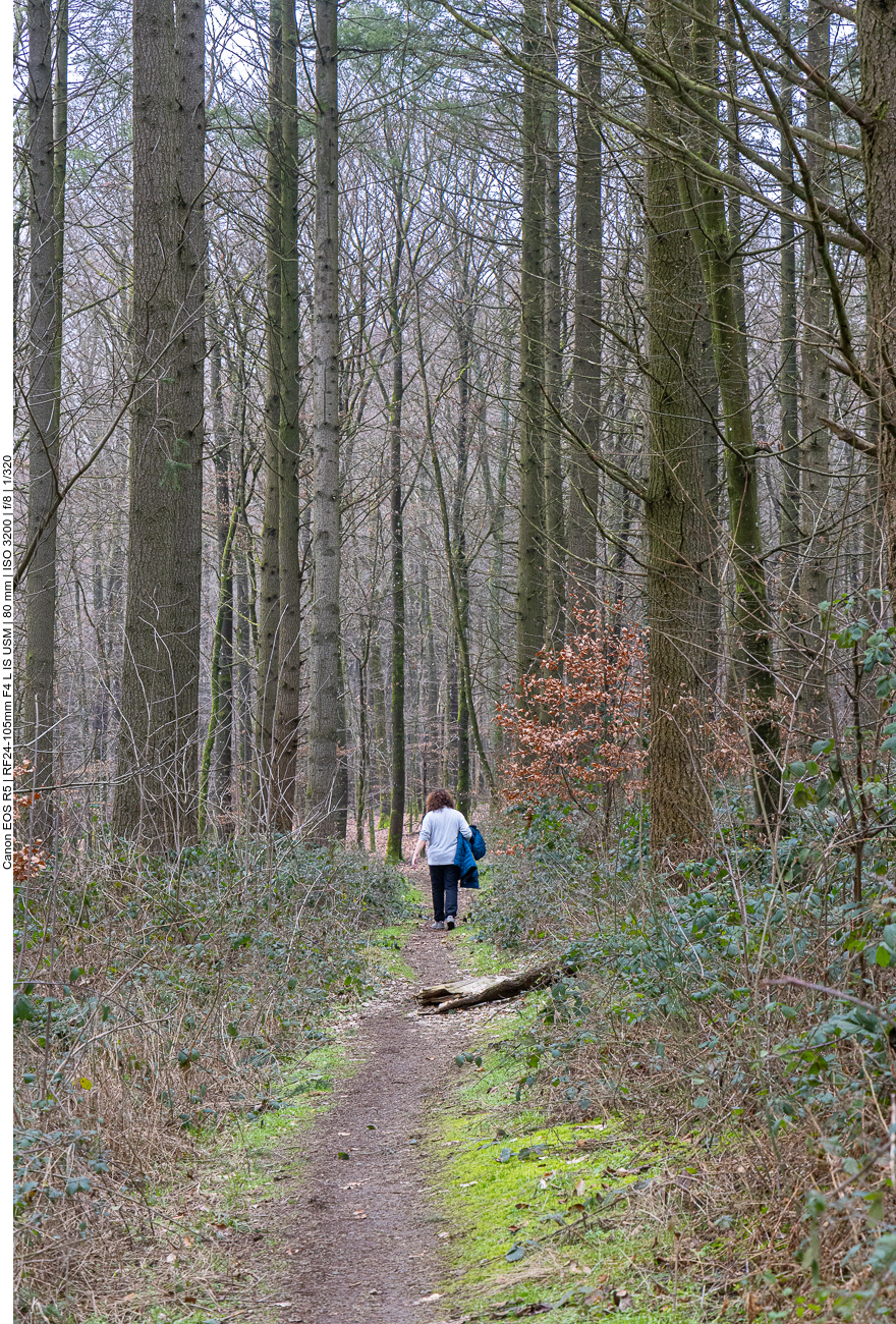 Auf einem Waldweg geht es wieder zur Lieser hinunter