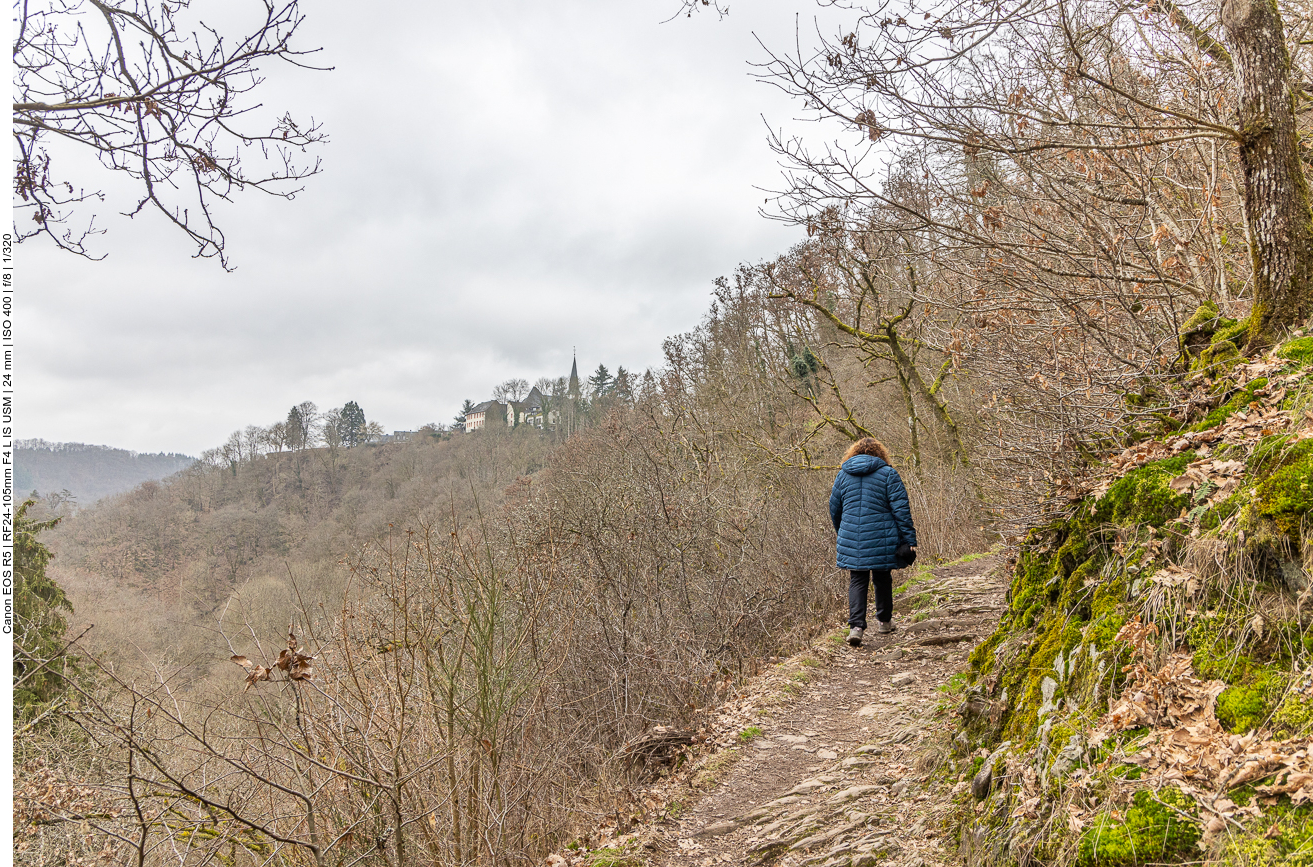 ... und steigen wieder nach Manderscheid hinauf