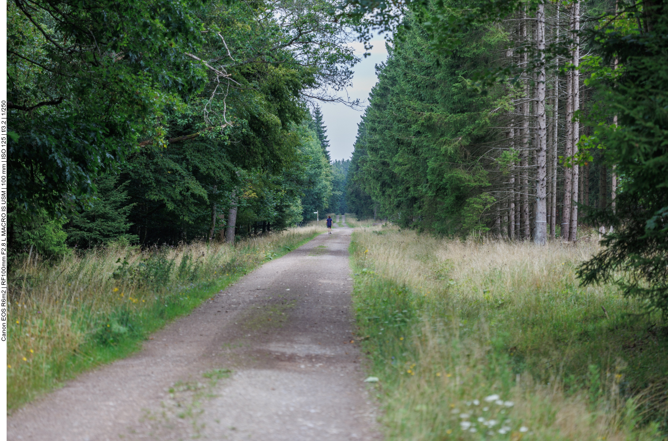 Und noch ein laaanger breiter Weg :-(