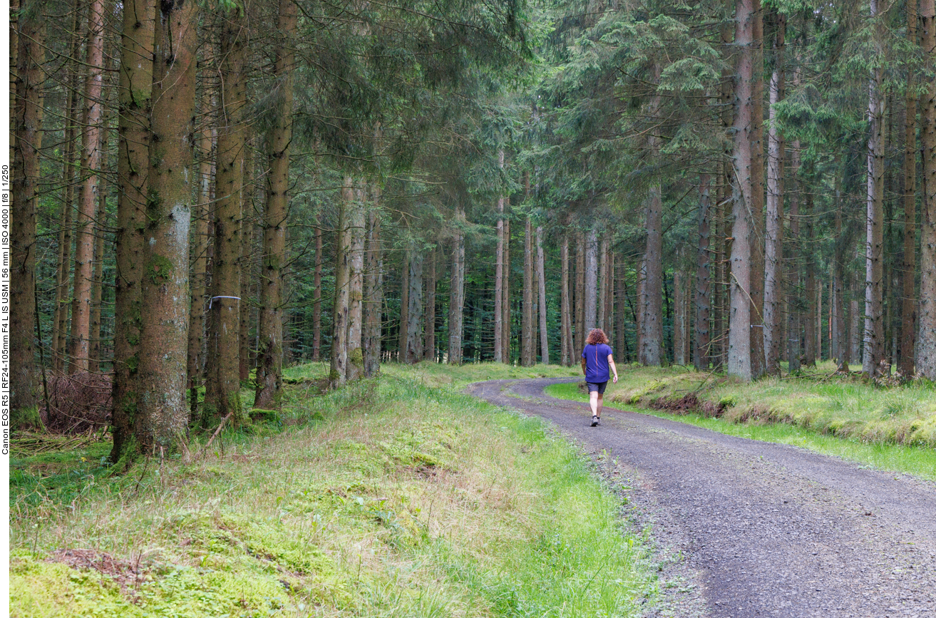 Und wieder auf einem breiten Weg