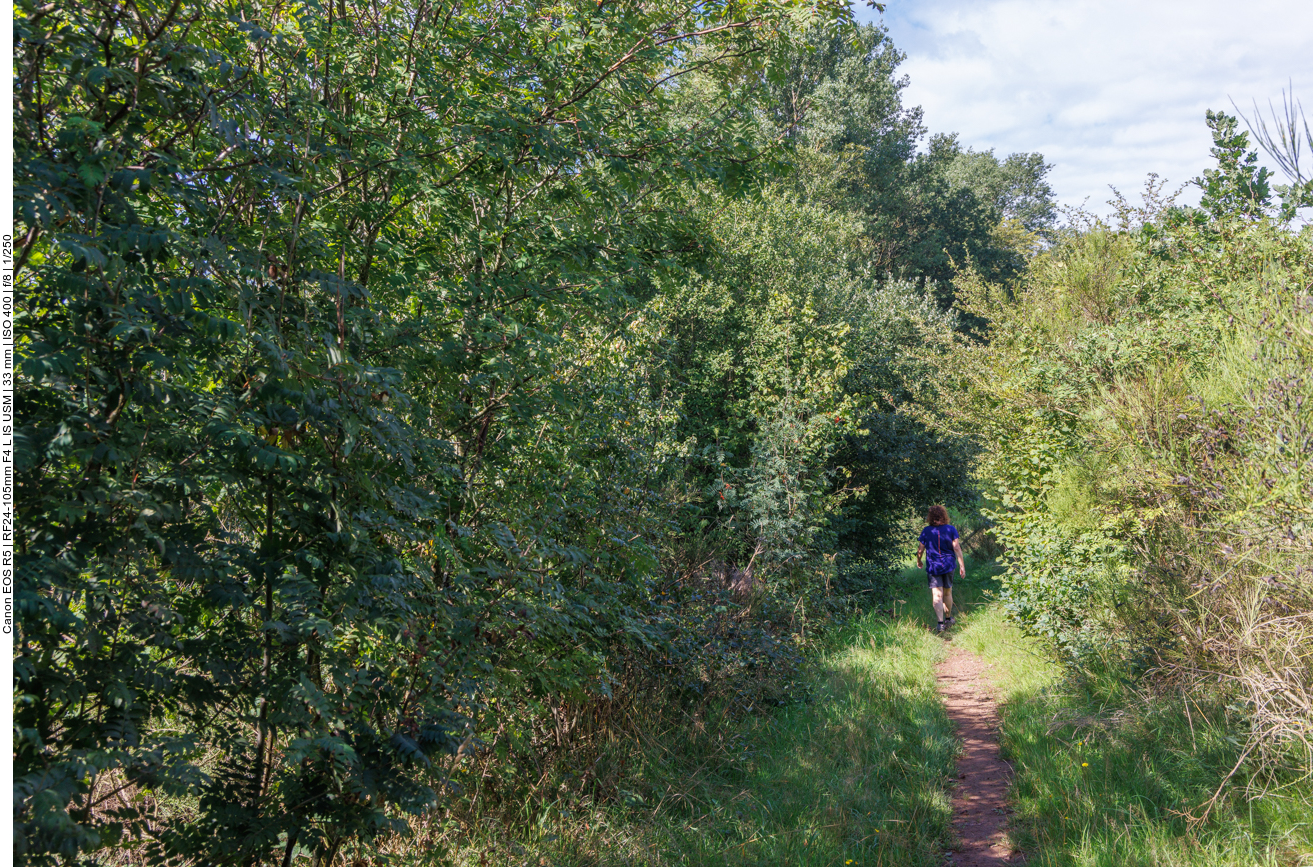 Endlich ein sch&ouml;ner schmaler Waldweg ;-) 