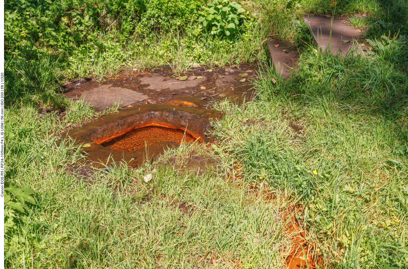 Am Steffelner Drees ... 