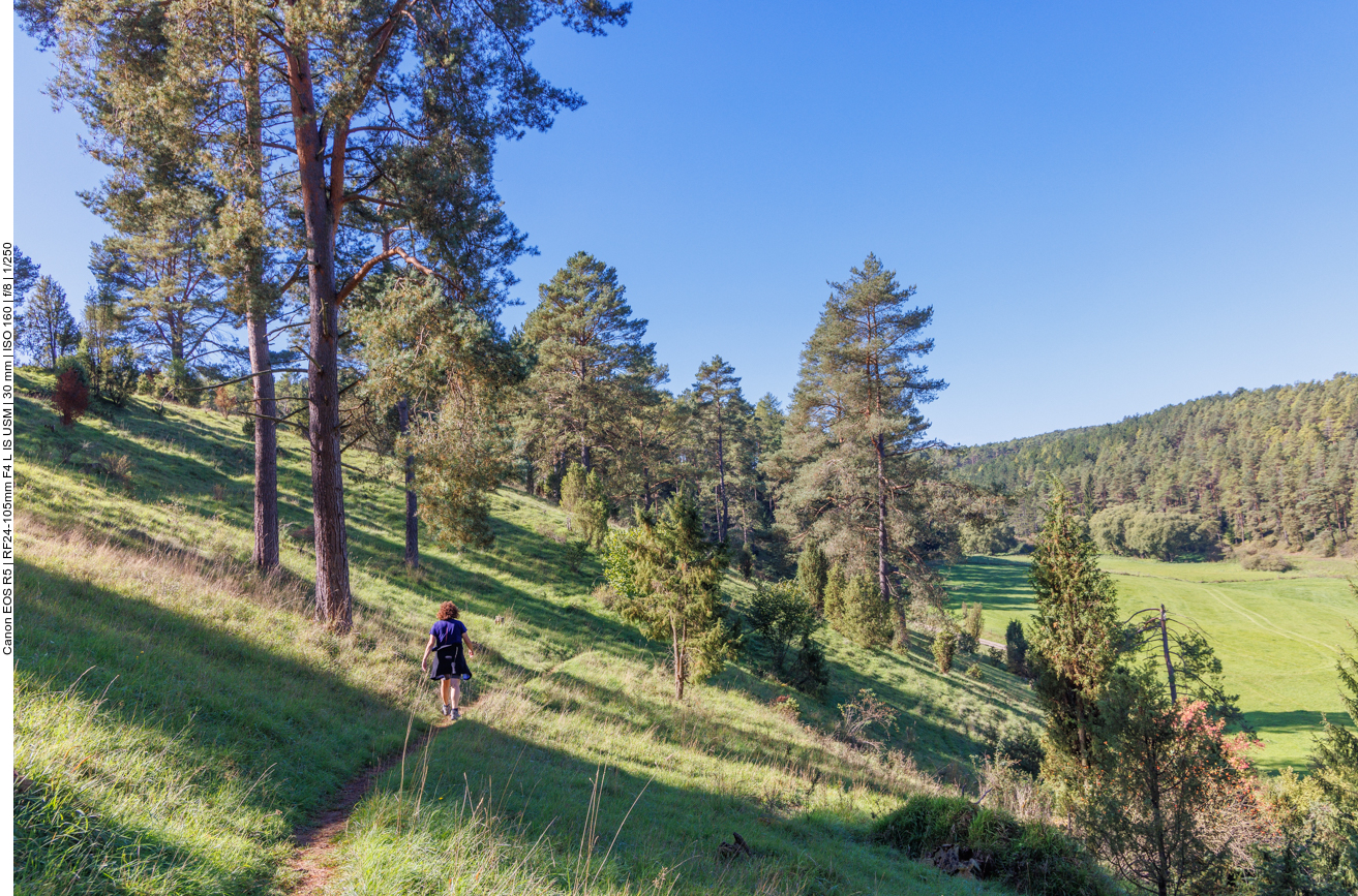 ... führt ins Tal hinab