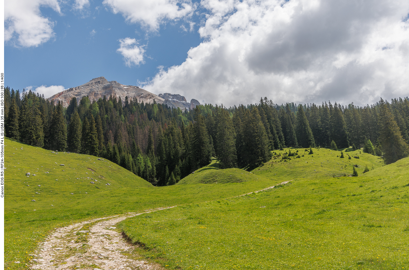 Weg durch die Wiesen