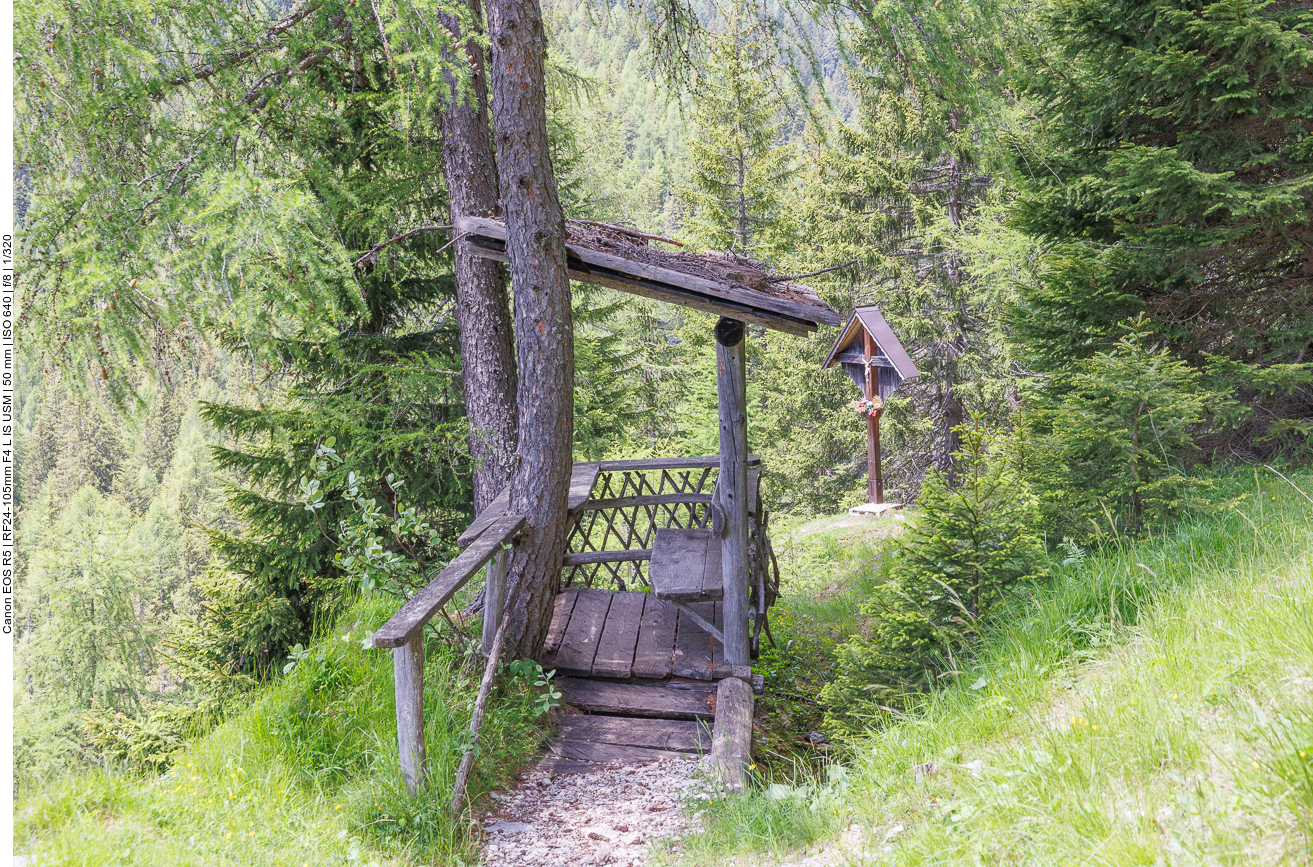 Schöner Rastplatz im Wald 
