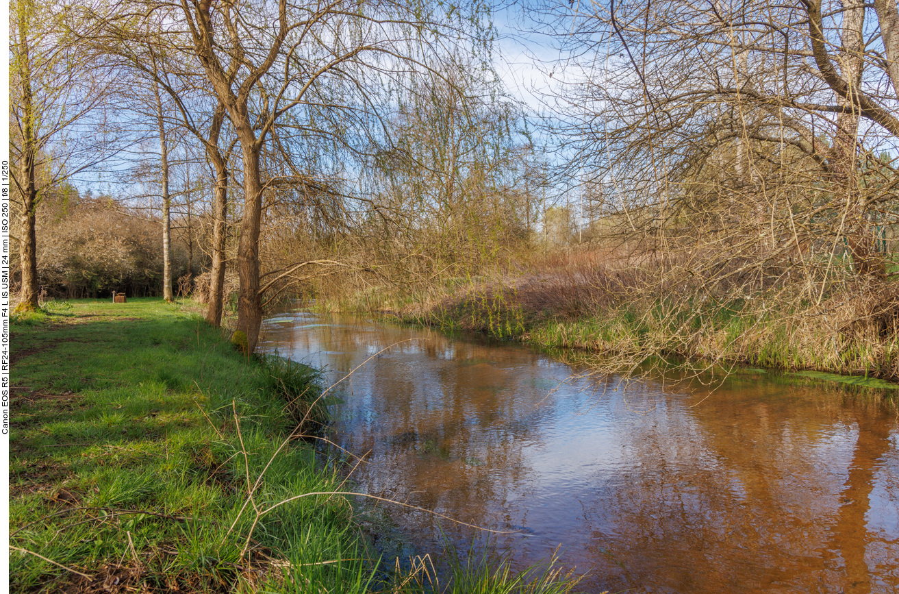 Schöner Weg entlang des Saarbachs 