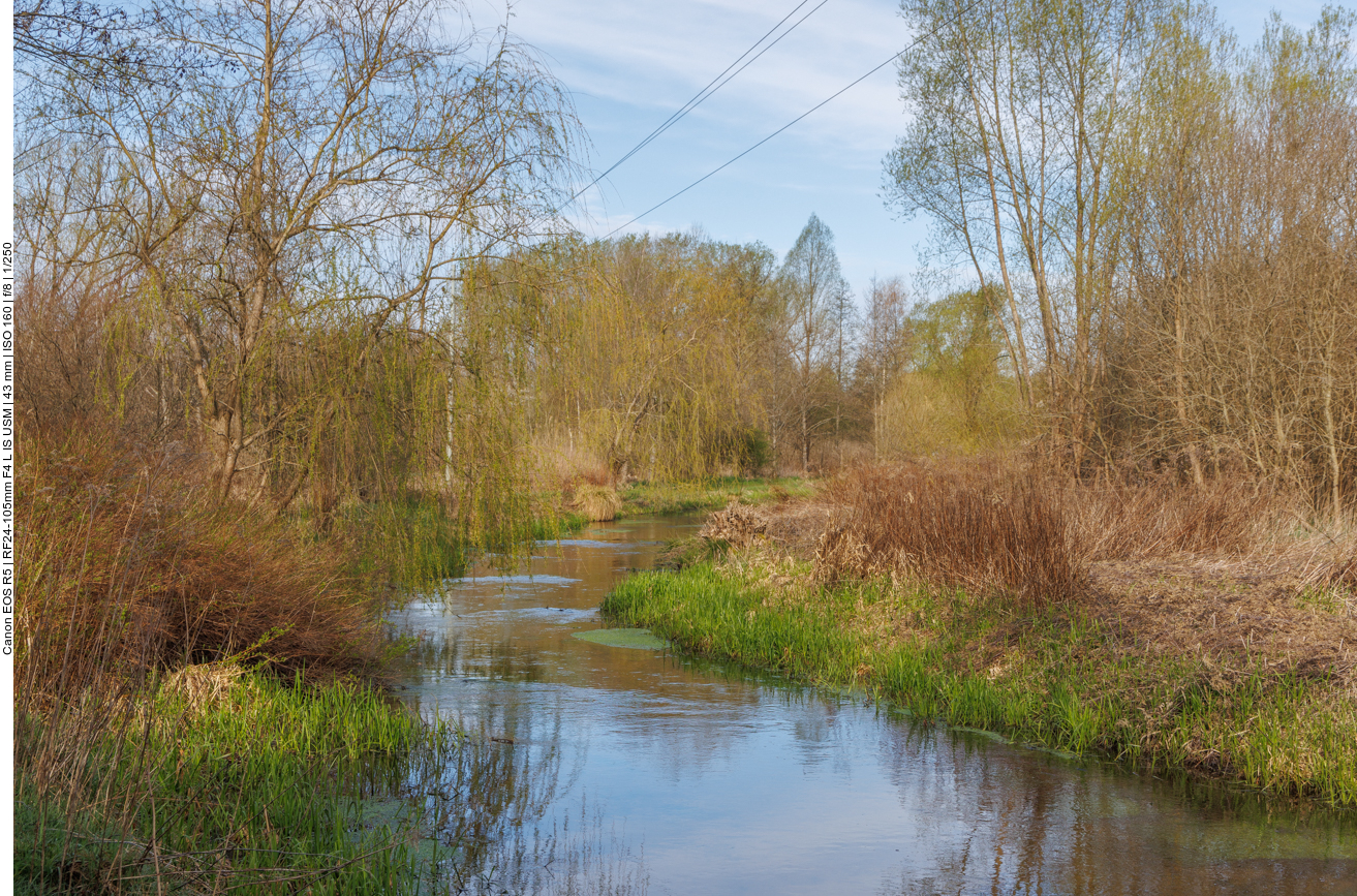 Der Saarbach 