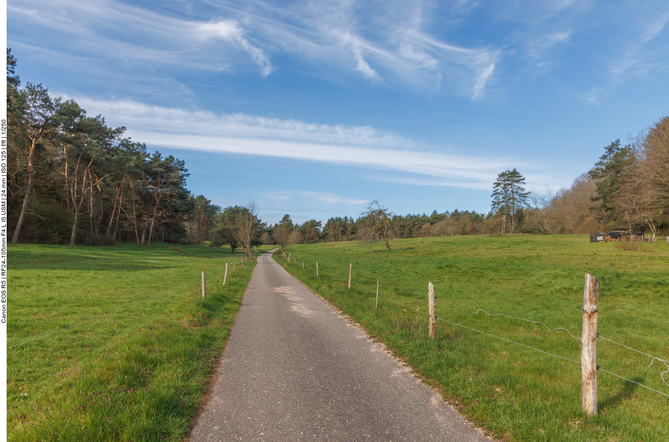 Ein Stück asphaltierter Weg zwischen den Weiden 