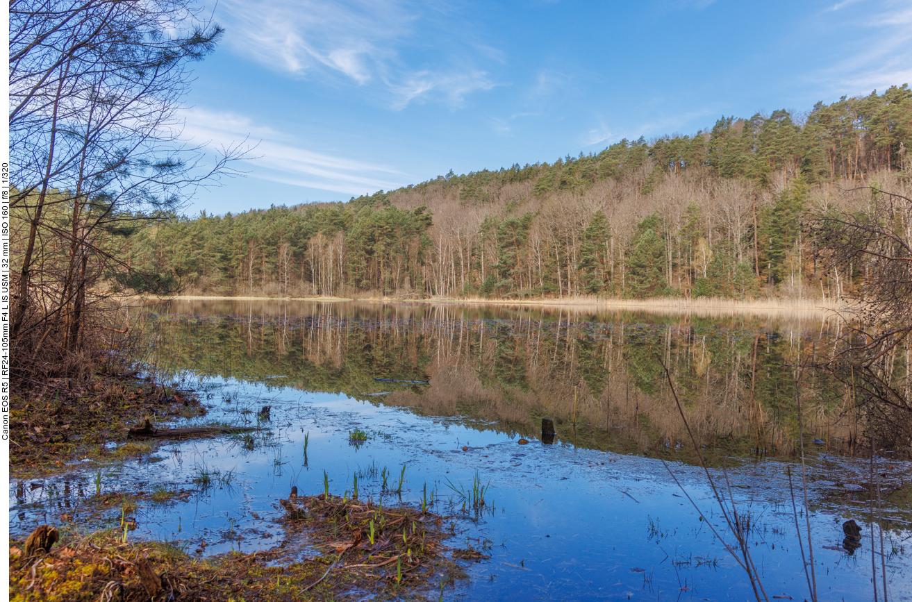 Am Pfälzerwoog 