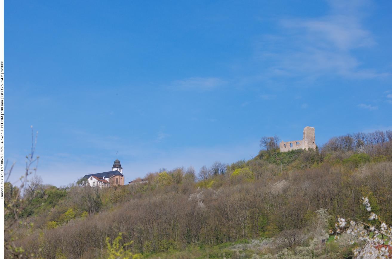 Propstei und Ruine Michelsburg auf dem Remigiusberg