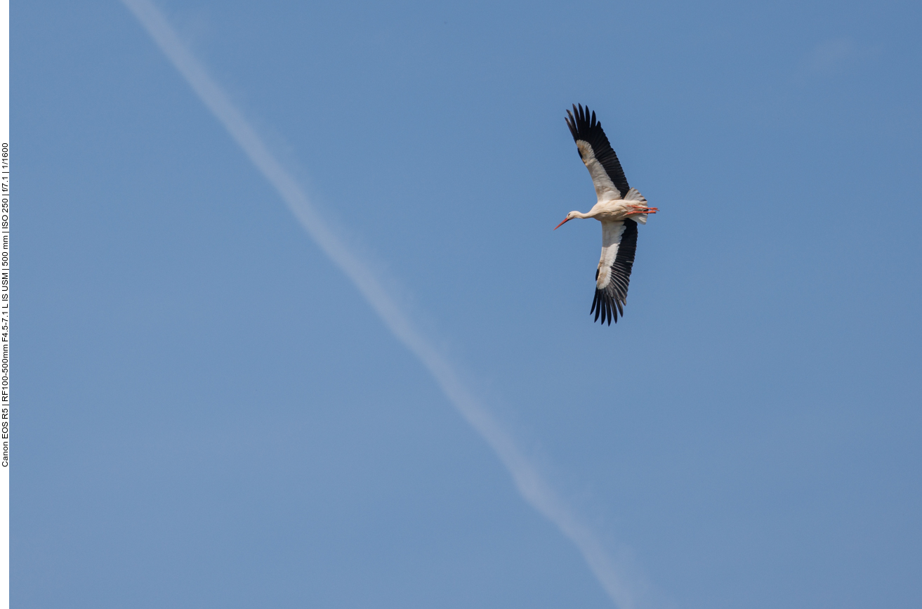 Überflieger