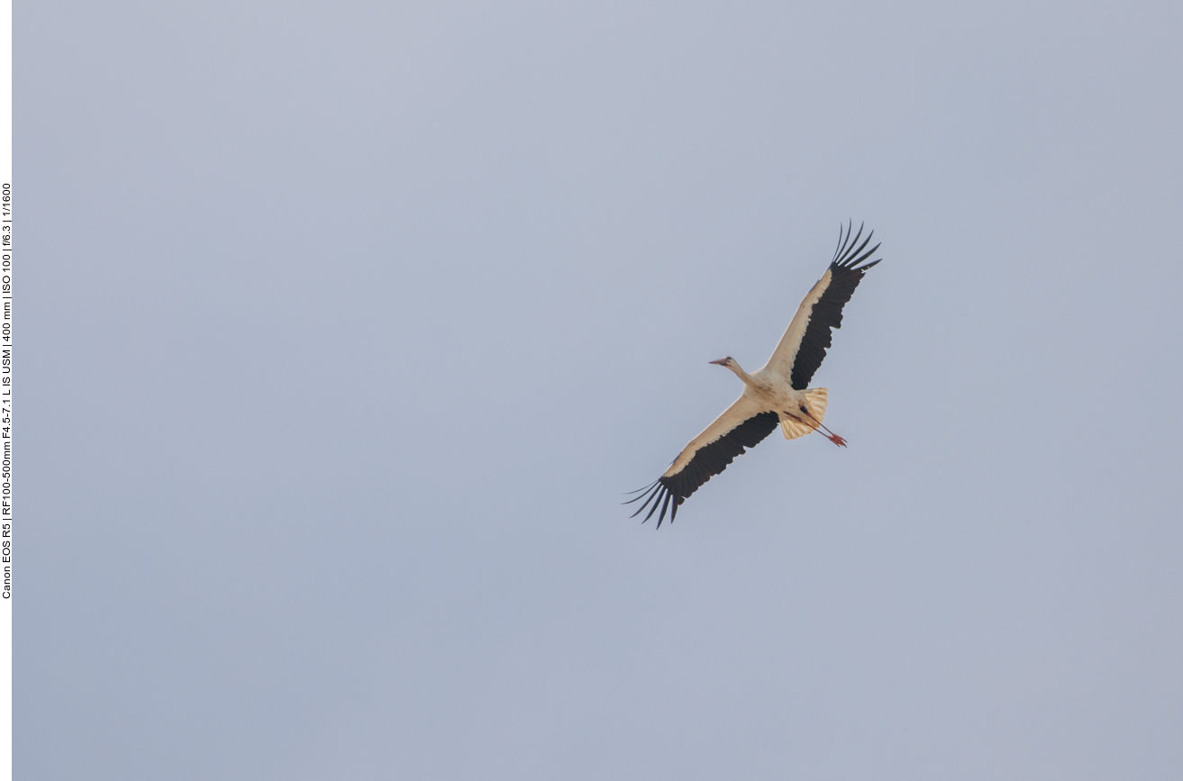 Überflieger eins