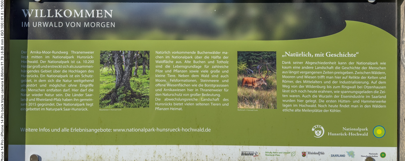 Infos zum Urwald von Morgen und dem Arnika-Moor-Rundweg 