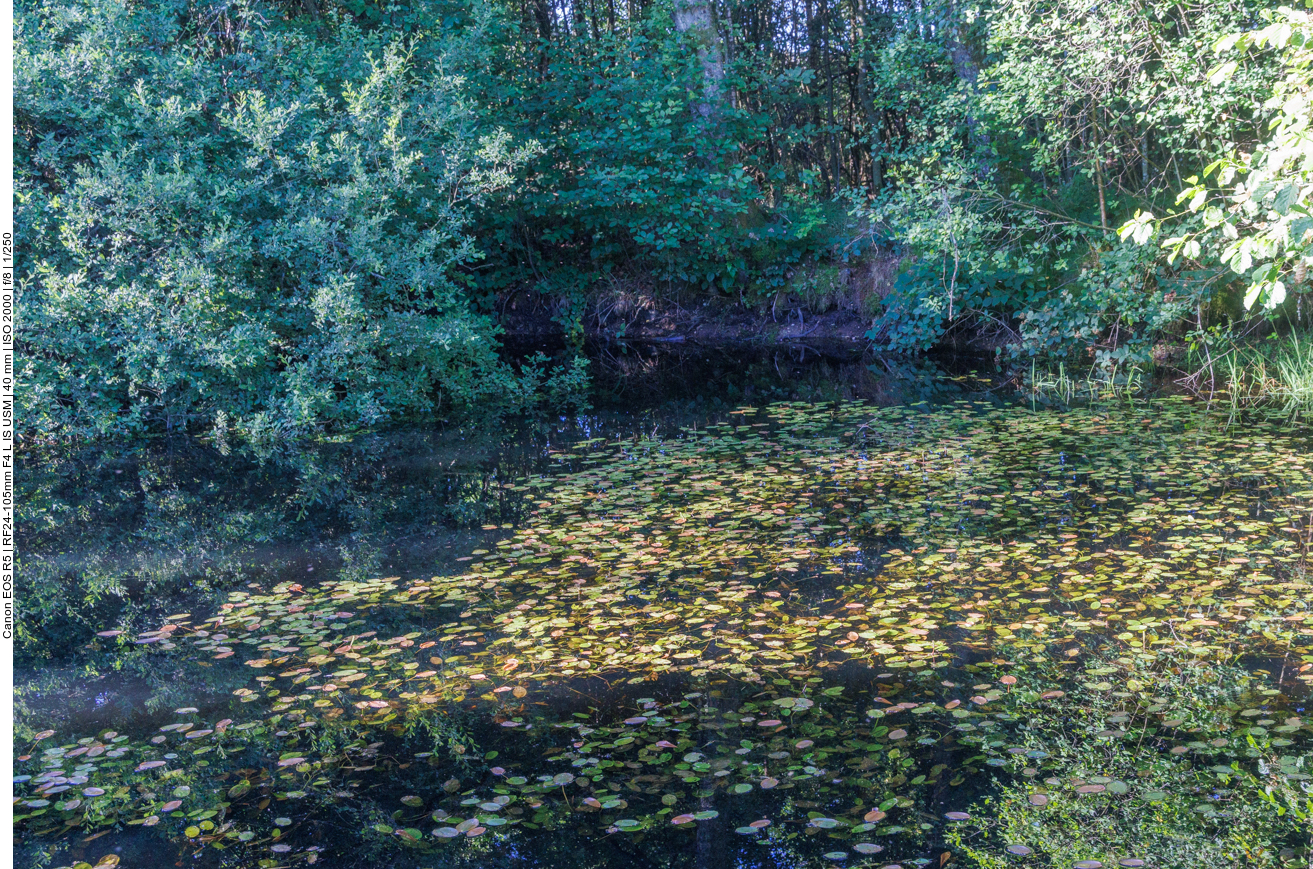 Am Thranenweier 