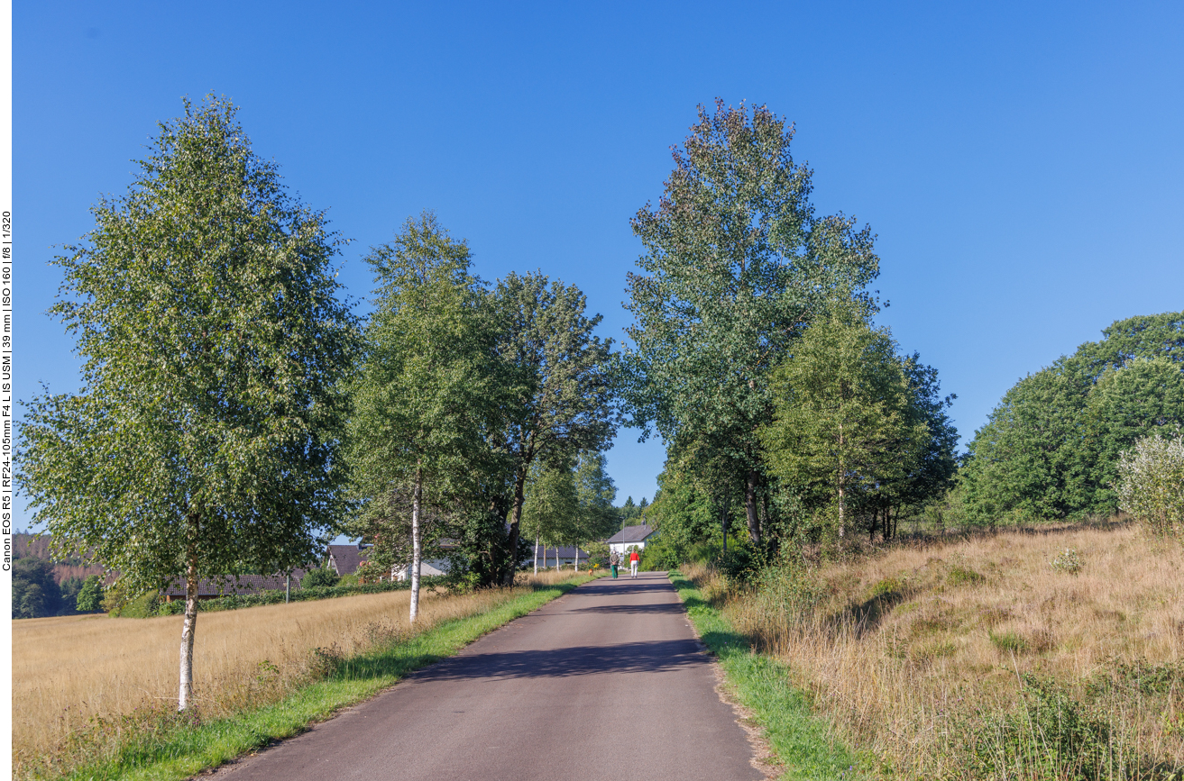 Weg zum Örtchen Thranenweier 