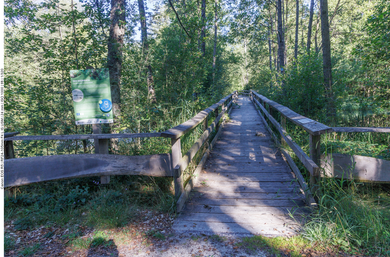 Holzsteg durch das Moor 