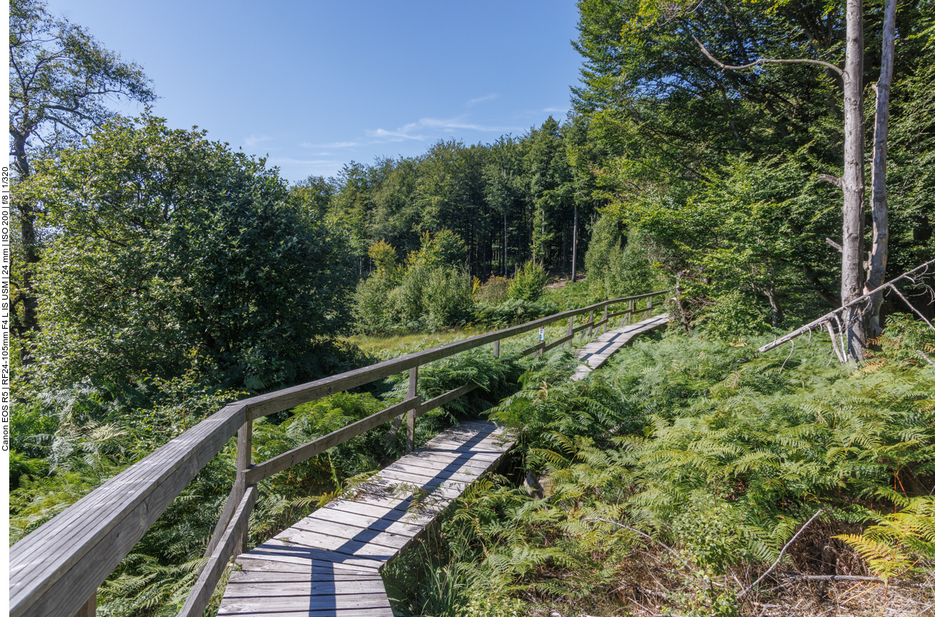 Holzsteg durch das Ochsenbruch Moor 